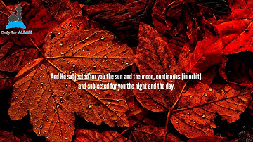 Surah Ibrahim (28-34) | Qari Hassan Ahmed Al-Shar'abi | القارئ : حسن أحمد الشرعبي