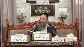 הרב יוסף חיים אוהב ציון פירוש זרע שמשון לפרשת כי תצא