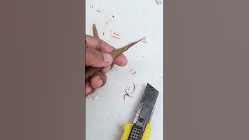 How to Air Layering Guava  / Growing Guava from Cutting / New techniques and Easiest Method#shorts