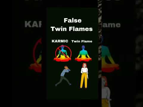 False Twin Flame