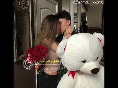 عاشق و نادر حياتي