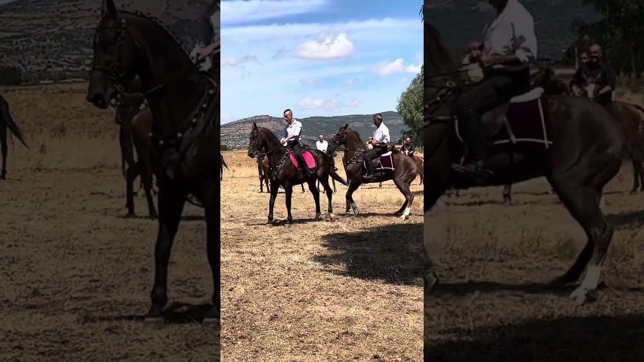 Festa di #sanlussorio a #borore