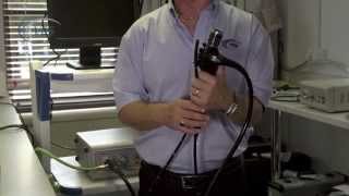 Ves Veterinary Gastroscope Presentation