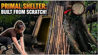 Janwaro Ne Kiya Hamla! 😱 Primitive Bamboo Shelter Survival