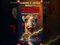 We Got CAMELS WRONG Our Entire Lives Ancient Truth Revealed 🐪 #wildlife #shorts