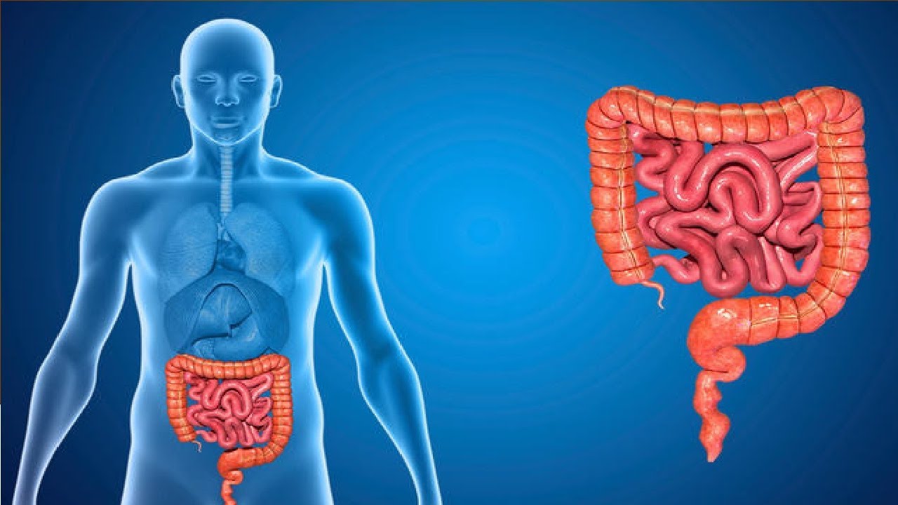 why does my weight watchers scale says err YouTube