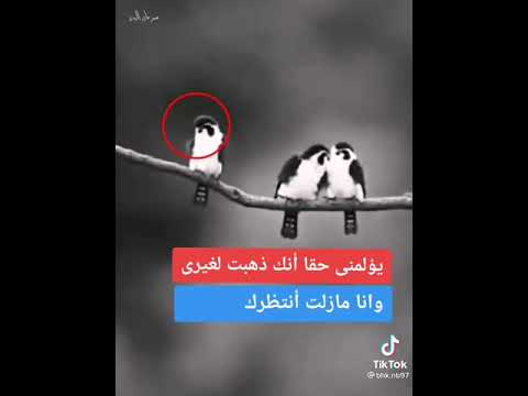 أجمل فيديو صغير حلات واتس آب حزين