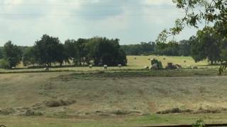 2016 Oct rolling hay 1