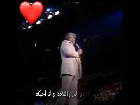 Lady Kenny Rogers مترجمة