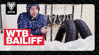 Wtb Bailiff Tire Overview