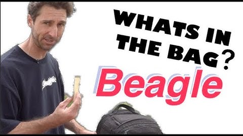 Whats in the bag? - BEAGLE (RAW UNEDITED BONUS)