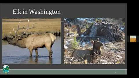 AgFo-To-Go Webinar: Understanding Elk Hoof Disease...