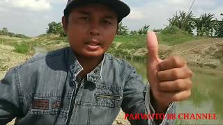 MANCING IKAN DISPOT YANG HOT POTATO POTATO ||PANAS KETANG KENTANG