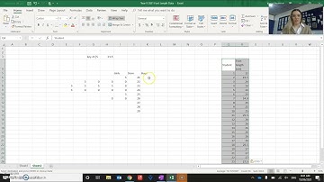 Stem and Leaf on Excel