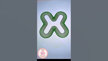 How Fast Did You Spot the X? 👇💬 #spirograph #asmr #satisfying #shorts #relaxing #art #usa #pattern