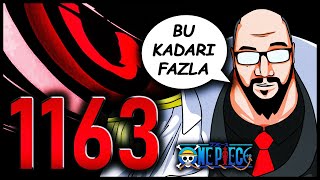 1163 | BU KADARINA GEREK VAR MIYDI?