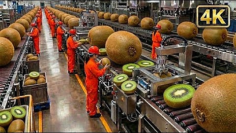 Inside a Modern Kiwi Processing Plant: From Whole Kiwi to Delicious Juice (Full Process)