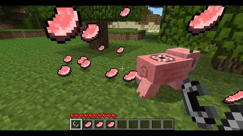 MineCraft Mod - Pig Grinder