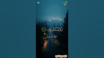 تلاوة خاشعة بصوت القارئ محمود عبد الله المبيض #محمد_رسول_الله #صلى_الله_عليه_وسلم