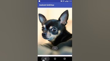 Android Gridview Tutorial using Android Gridlayout Example