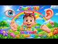 A to Z Body Parts Song for Kids🦶| ABC Body Parts Nursery Rhyme | Learn Body Parts A to Z |