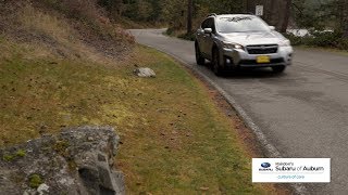 It's More Than a Car, It's a Subaru | Rairdon's Subaru of Auburn