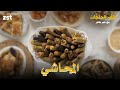 طعم الحاجات مع عمر طاهر الحلقة الرابعة المحشي اختبار كشف الشخصية