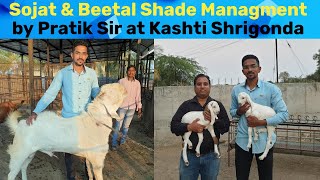 Sojat And Beetal Kids Mangment at Pratik Sir's Farm at #Kashti Shirgonda Daund