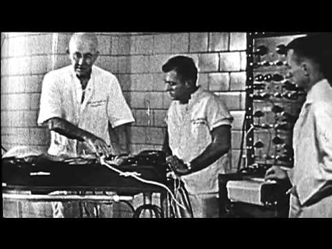 hands across america Hands of Time: Celebrating 50 Years of CPR, 60-second Webcast