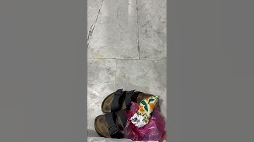 Taraweeh: 8/10 or 20? || Principle 1 || Ustadh Ariff Olla