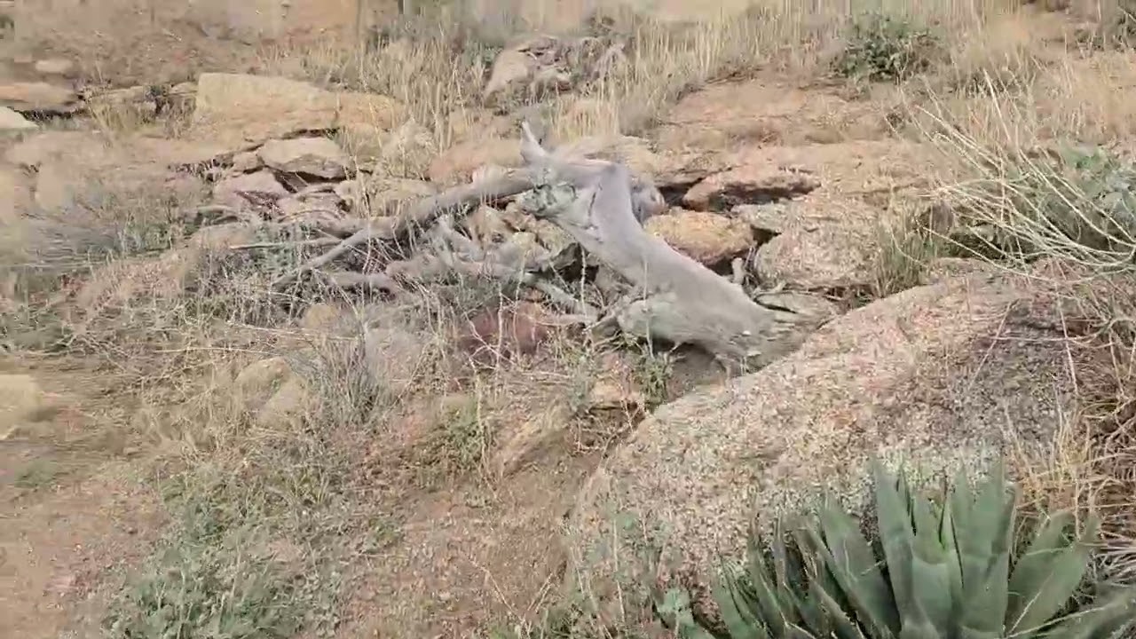 De Camino a el Lugar de la Tragedia del 2013