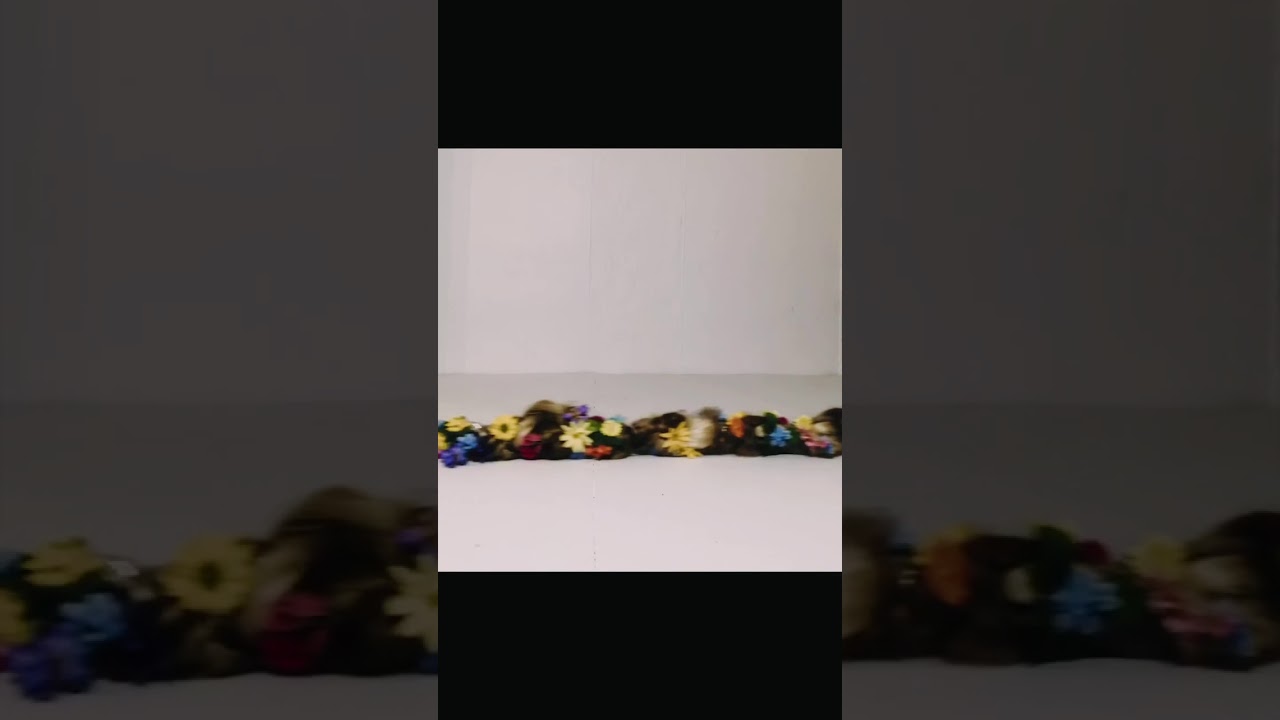 Rapunzel’s Quarantine