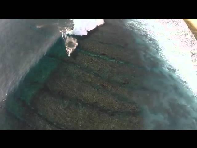 St Germain-en-Laye - Dub Experience (F002)(1994)