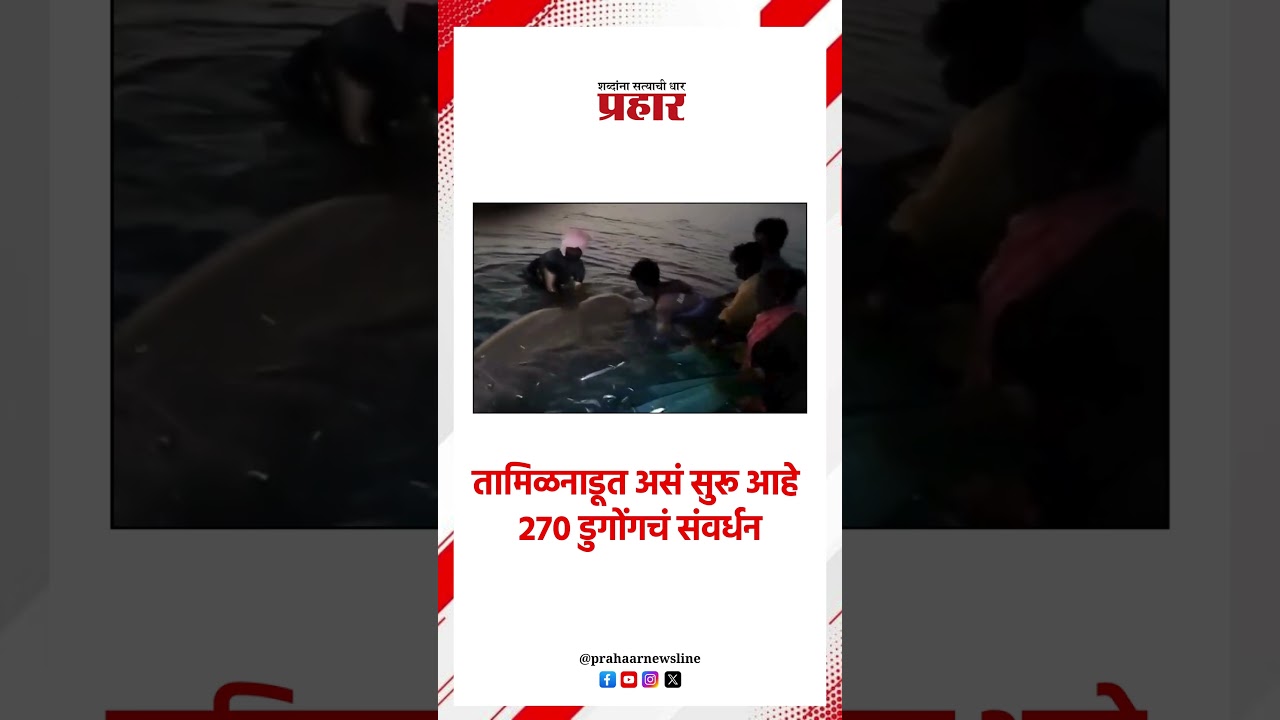 Tamilnadu | तामिळनाडूत असं सुरू आहे २७० डुगोंगचं संवर्धन #prahaarnewsline #tamilnadu