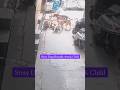 Child Mauled By Stray Dogs While Walking Alone | Disturbing Incident Caught On Camera | #viral