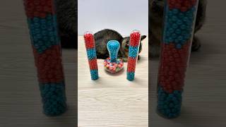 Cute Cat Miu 🎈🙆♀️ Reverse video ASMR #cat #satisfying #chilldogreverse