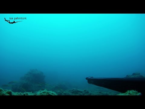 Mersin, Akdeniz | Zıpkınla Dalış | Freediving | Spearfishing