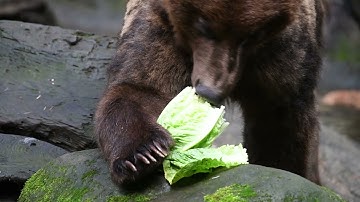 Join us for Feeding Frenzy!