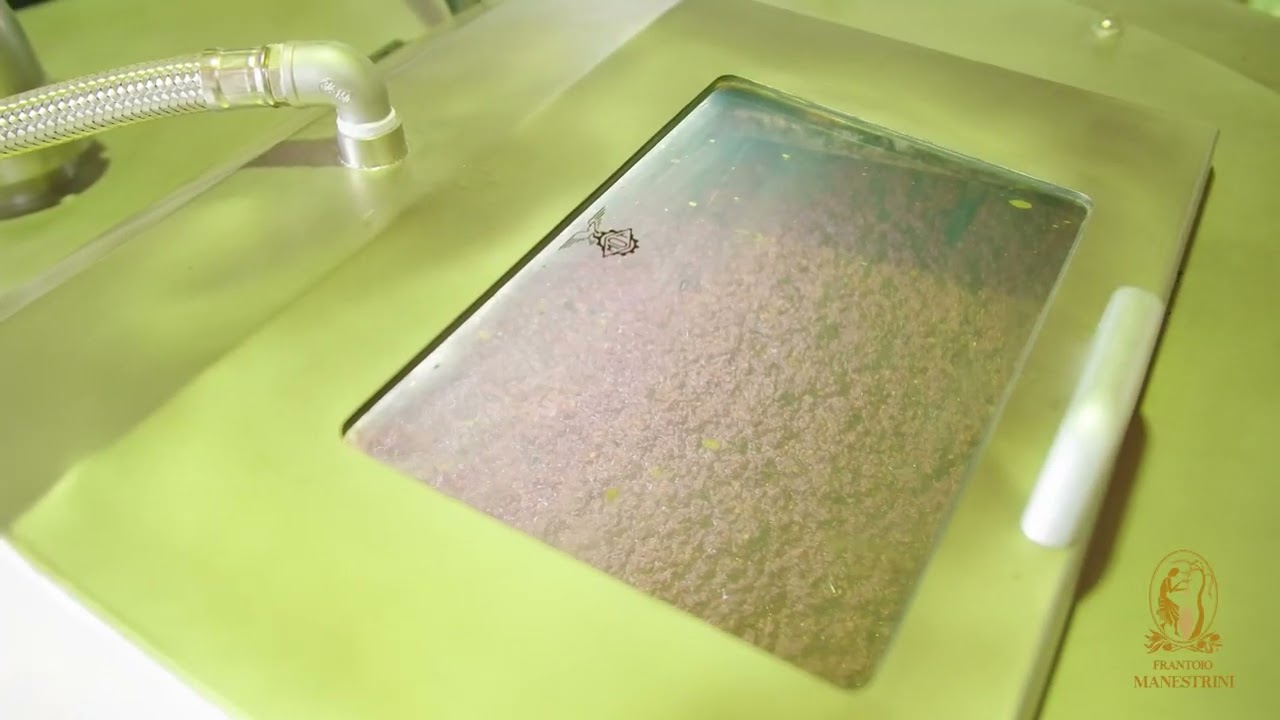 Frantoio Manestrini 2022