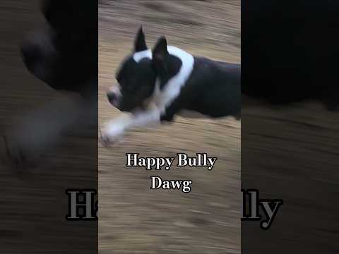 Caught Happy Headed Hack