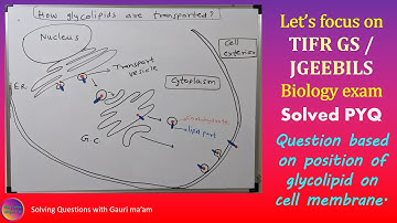 TIFR GS /JGEEBILS Biology | Solved PYQ | Solving Questions with Gauri ma’am