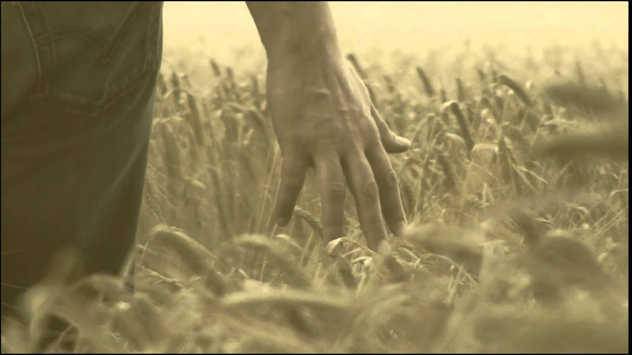 Through fields