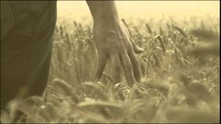 Gladiator - The Scottish Scene