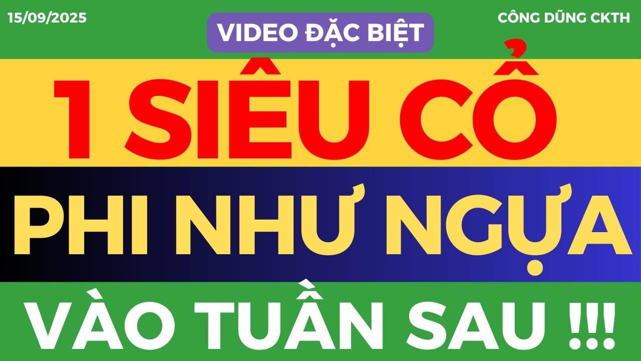 ✂️ TOP CỔ PHIẾU CỰC KỲ TIỀM NĂNG CHẠY TUẦN SAU