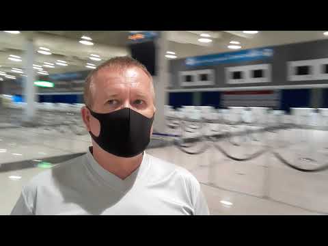 Video: Dubay Beynəlxalq Hava Limanı Koronavirusu İyləyən İtlər Yerləşdirir