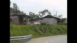 Bujang - Man (Manterra) & Sarina