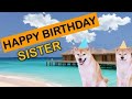 Happy birt.ay sister  those cute dogs say hello