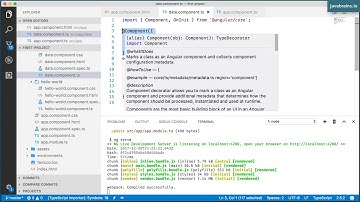Angular 6 Basics 7 - Anatomy of a component