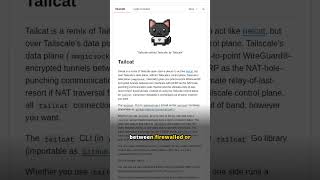Tailcat: netcat over Tailscale data plane without control plane