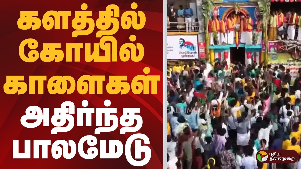 Palamedu Jallikattu | களத்தில் கோயில் காளைகள்.. அதிர்ந்த பாலமேடு | Jallikattu 2026